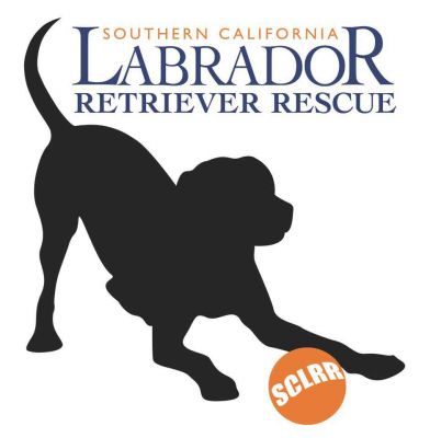 is there a rescue group for labrador retrievers