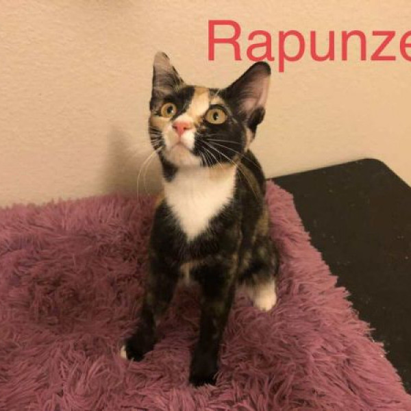 adopt Rapunzel